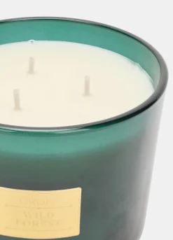 Candela a tre stoppini Wild Forest*Croff Discount
