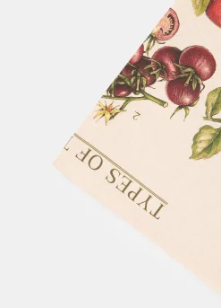 Strofinaccio con stampa pomodori*Croff Hot